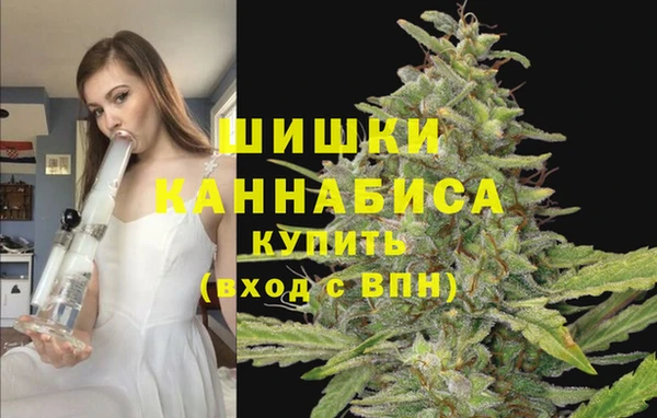 шишки Абдулино